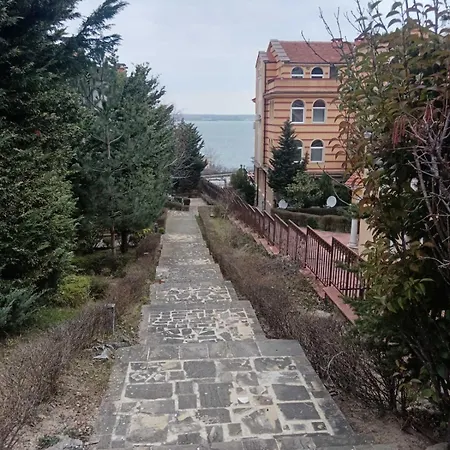 Black Sea Pearl Daire