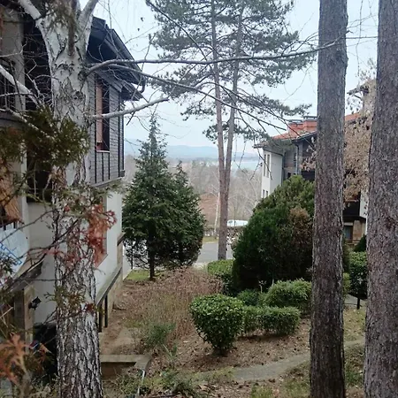Black Sea Pearl Lejlighed